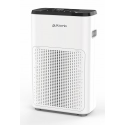 Čistička vzduchu GZ 993