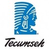 TECUMSEH